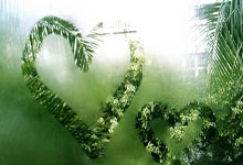 里昂保持全胜，继续领跑积分榜的简单介绍